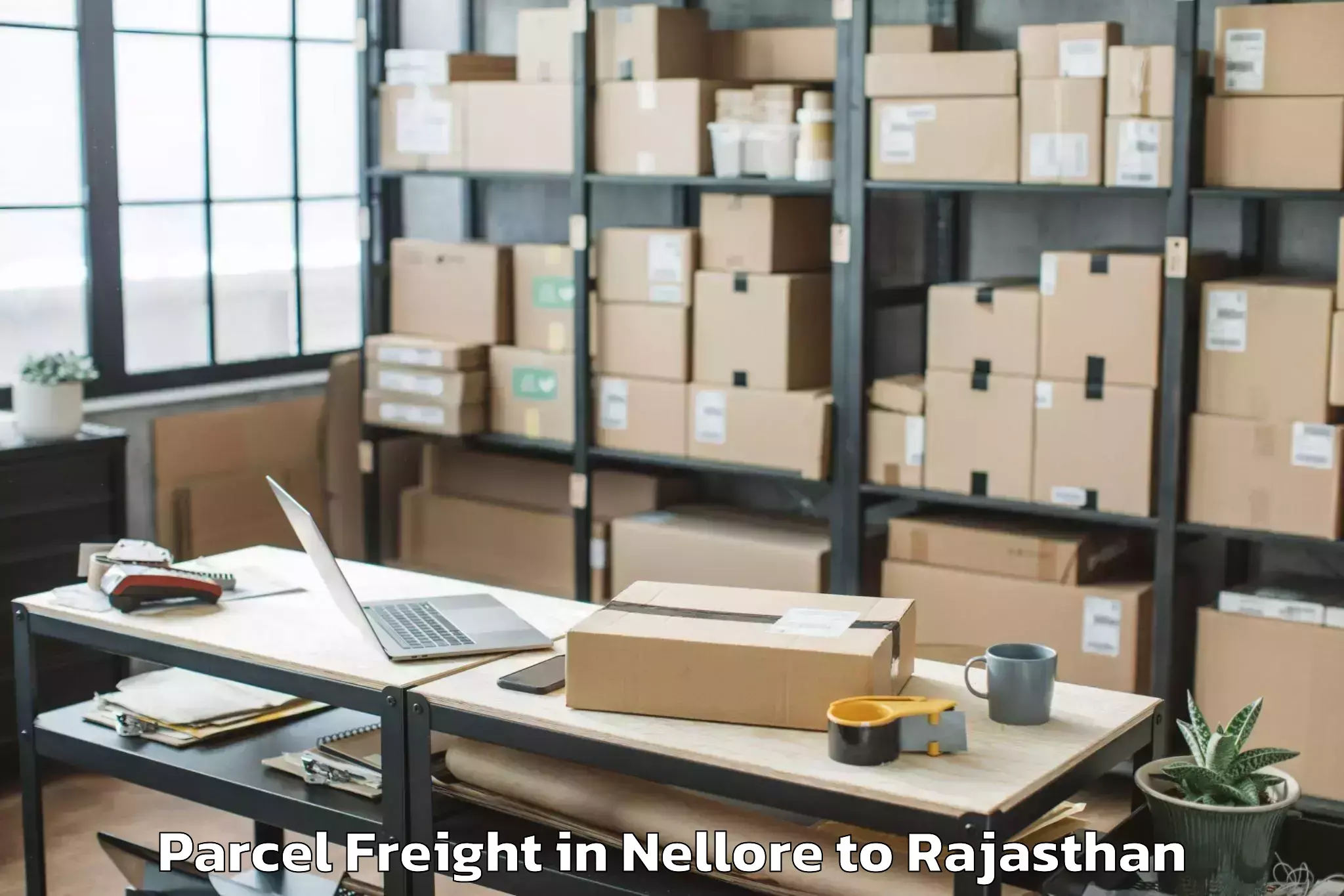 Reliable Nellore to Beawar Parcel Freight